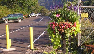 Parking at Emlenton Trail Head.