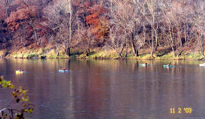 Kayaking the Allegheny River
