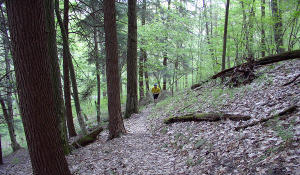 The hike to the overlook is at least a half mile of steep switch backs