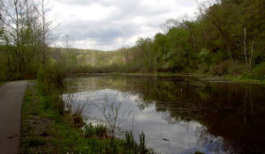Look for wildlife at this pond area