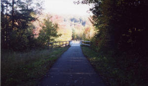 1 of 7 pedestrian safe bridges on the trail