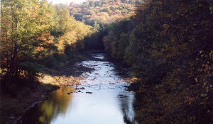 A view from one of the 7 bridges on the Sandy Creek trail.