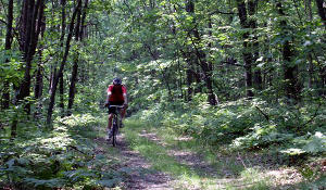 On an ATV wide trail, ATVs not permitted
