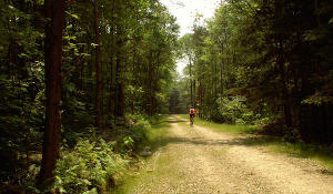 Riding an access road