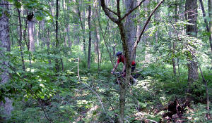 Tight technical single track