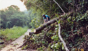 Trail Maintenance Photos