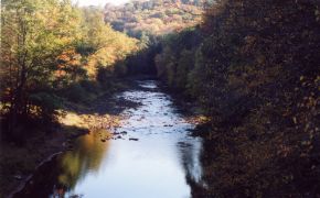 Sandy Creek from 5th Bridge towards Van