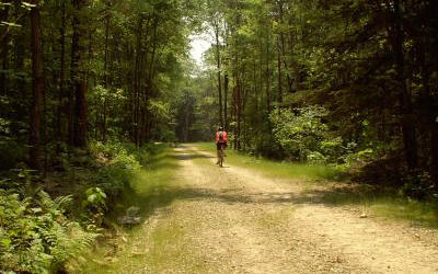 Two Mile Run Mountain Bike Trails