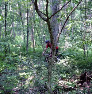 Two Mile Run Mountain Bike Trails - single track